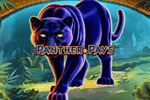 Panther Pays - SPACEMANSLOT88