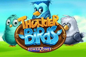 Power Zones: Thunder Birds - SPACEMANSLOT88