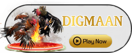 Digman - SPACEMANSLOT88